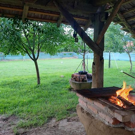Casa Traditionala Transilvaneana Rucar  外观 照片