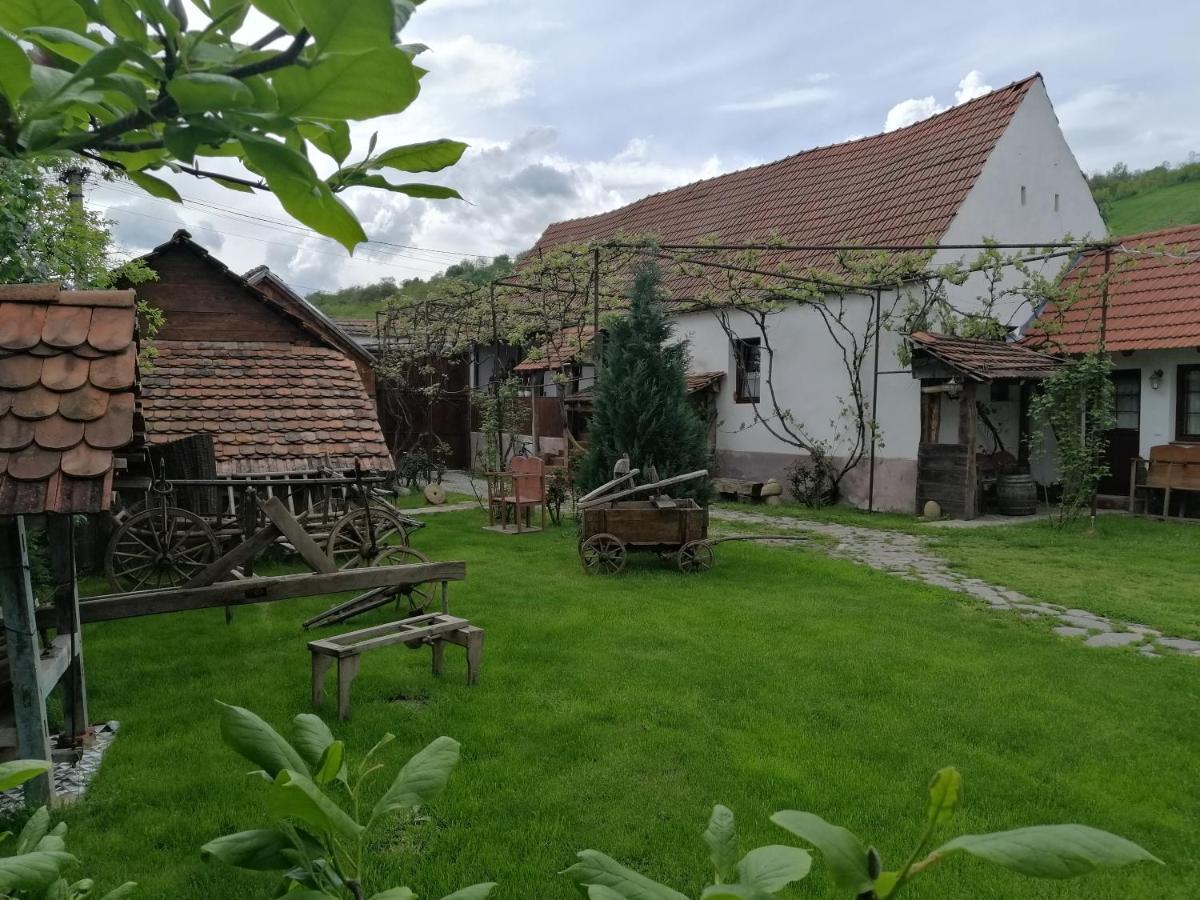 Casa Traditionala Transilvaneana Rucar  外观 照片