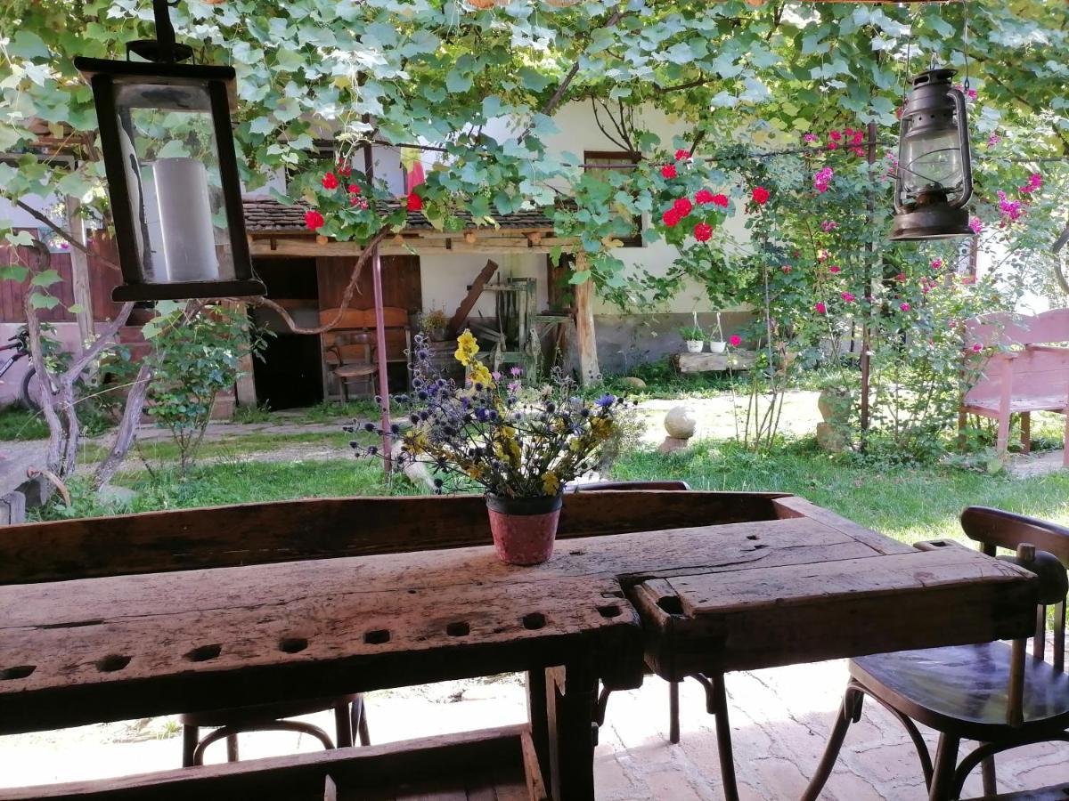 Casa Traditionala Transilvaneana Rucar  外观 照片