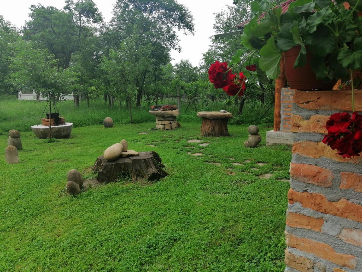 Casa Traditionala Transilvaneana Rucar  外观 照片
